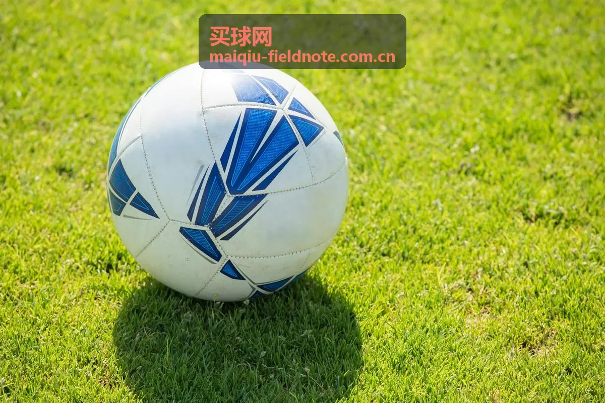 买球网场次资料核对场景